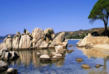 海星体育- 东契奇欧洲联赛照片 