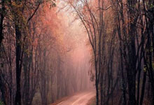 海星体育-Doinb新星回归赛场表现惊艳,独行侠未来可期!的简单介绍